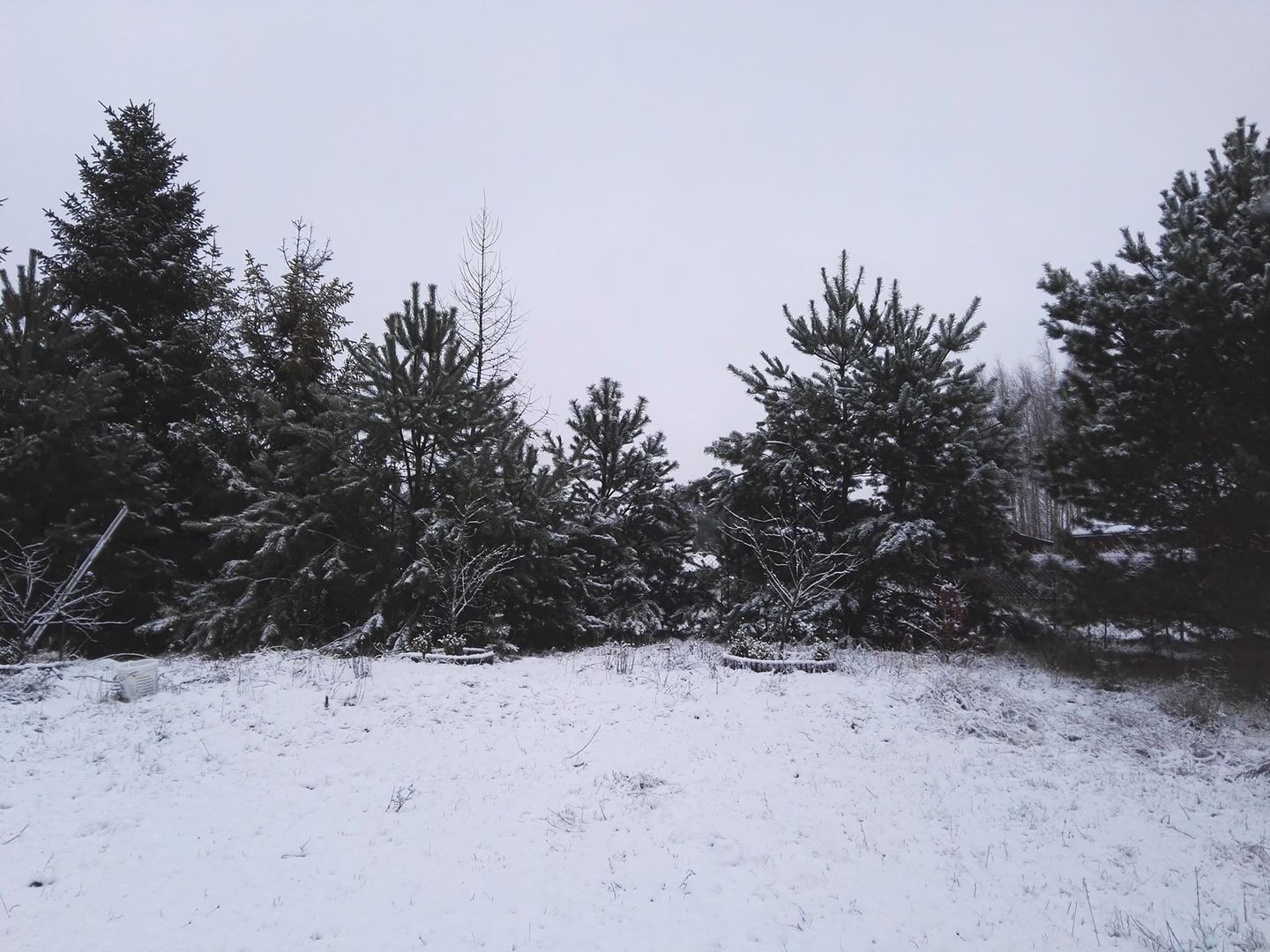 O takim widoku za oknem wielu z nas marzy tej zimy. Nasza czytelniczka miała szczęście.