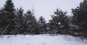 Śnieg na Pomorzu. "U was też tak jest?"