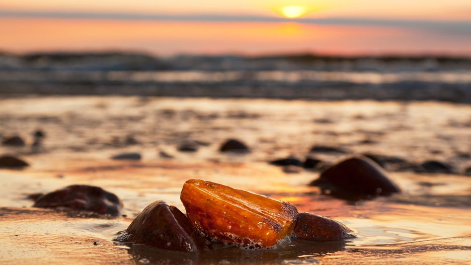Jesień jest idealną porą na zbieranie bursztynu