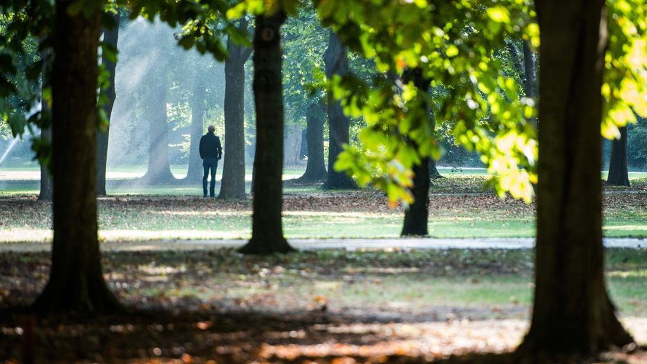 Centrum Polski będzie cieszyło się słońcem