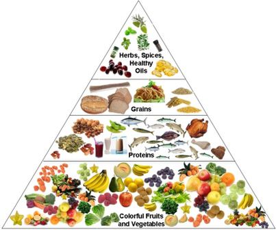 Schemat piramidy żywienia 