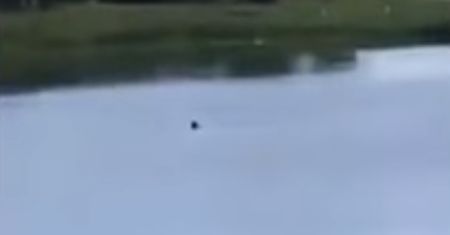 Nastolatkowie pozwolili utopić się 32-latkowi. Zaczęli się śmiać i nagrali film