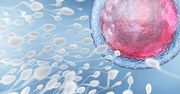 O krok od możliwości wyboru płci dziecka. Naukowcy rozdzielili chromosomy X i Y