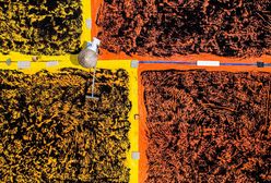 Chłopaki też płaczą. Najlepsze zdjęcia tygodnia