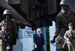 Rządowi PiS się oberwało. "Dobitne słowa" prezydenta Niemiec