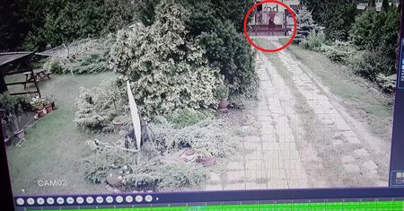 Kurier rzuca paczką przez płot "jak workiem kartofli". DPD odpowiada