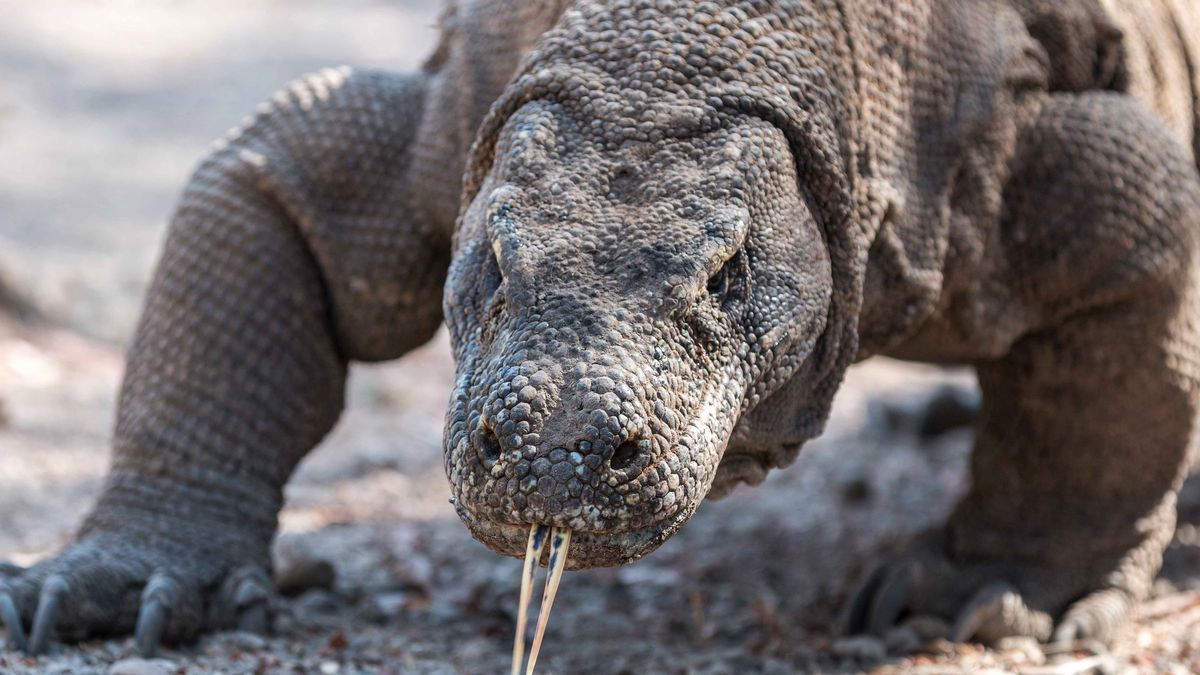 Domyślny opis zdjęcia na stronę główną