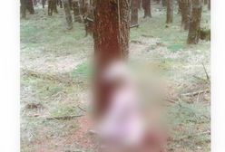 Ktoś powiesił psa na drzewie. Zwierzę konało w męczarniach