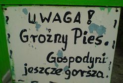 Śmieszne zdjęcia Internautów