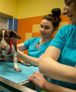 Bilans dnia. Sprawdź, co wydarzyło się w piątek