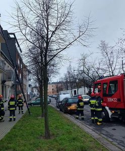 Pies spędził na balkonie dwa dni. Sąsiedzi zaalarmowali służby