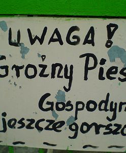 Śmieszne zdjęcia Internautów