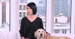 Alicja Zmysłowska - fotograf psów. Jak wyglądają sesje ze zwierzętami?