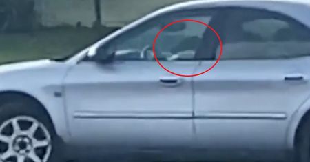 Auto przez godzinę kręciło kółka. Kierował nim pies