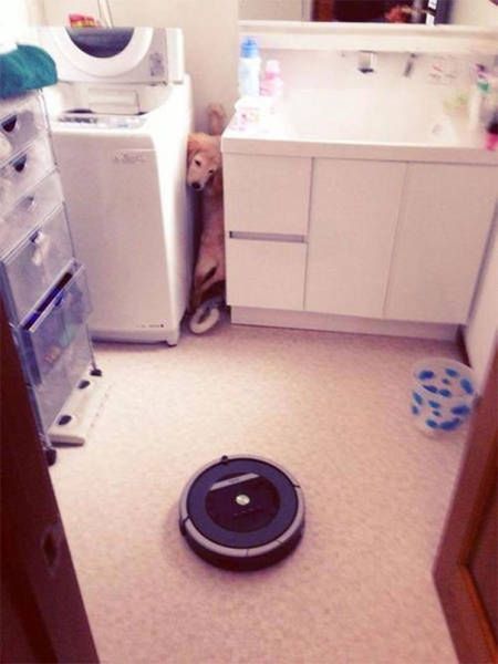 Roomba