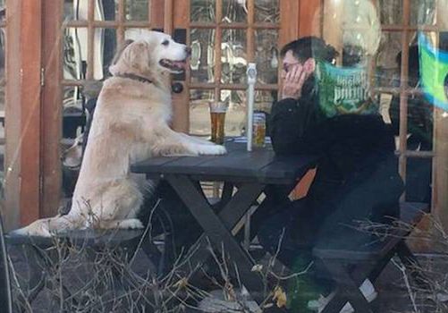 Pies i człowiek - ziomale na zabój