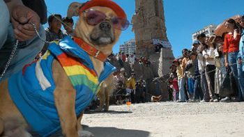 Uczestnicy konkursu nie protestowali przeciwko noszeniu modnych rekwizytów