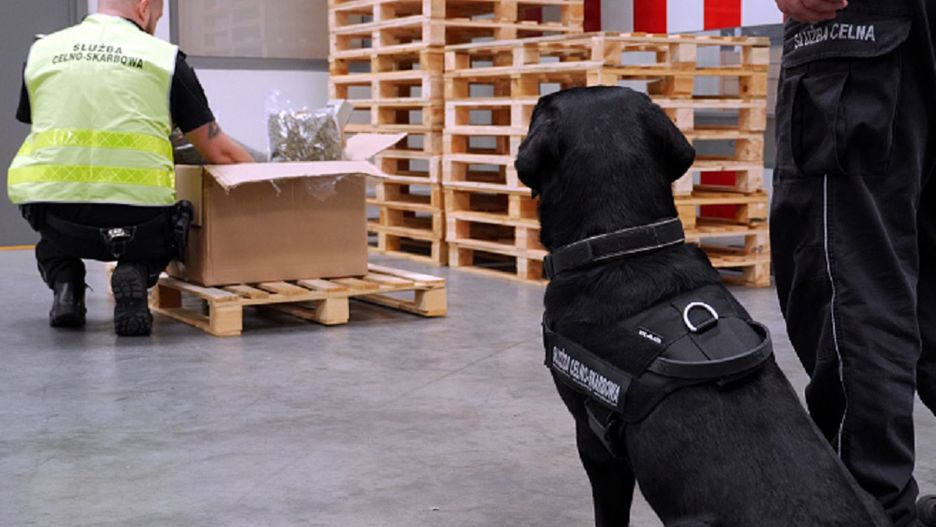 KAS informuje o przechwyceniu narkotyków.