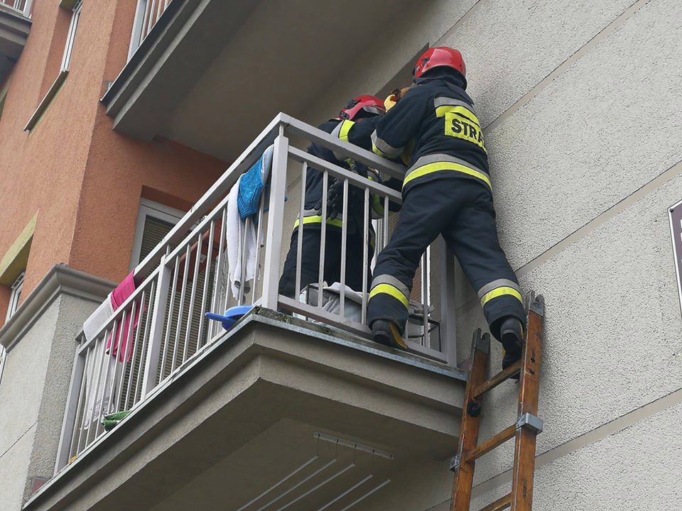 Suczka na zimnym balkonie