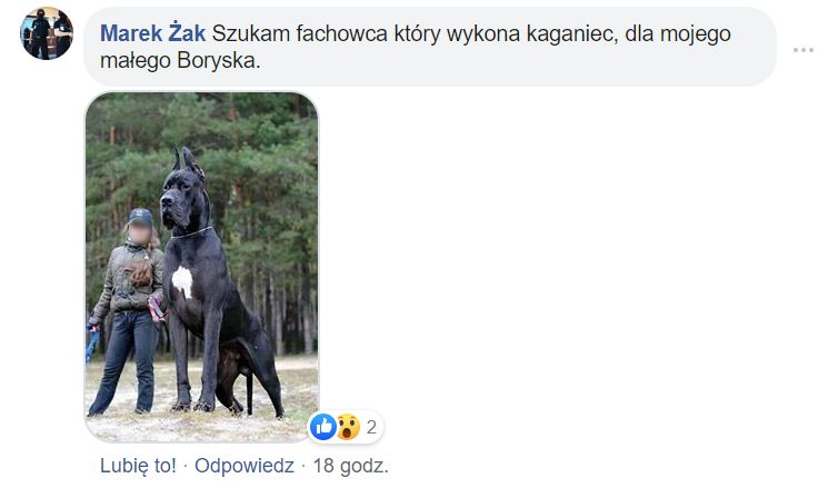 Obraz
