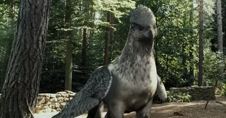 Nazwij poprawnie zwierzęta z filmów o Harrym Potterze