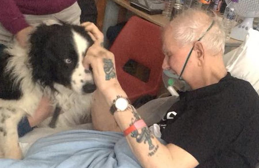 Umierający 70-latek żegna ukochanego psa. Przy tym wideo nie sposób się nie wzruszyć