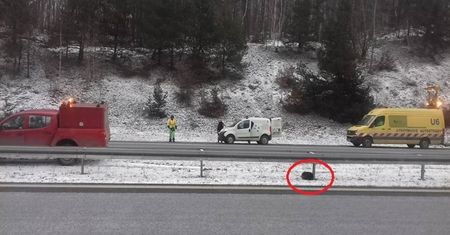 Pies zamarzał przy autostradzie przez procedury. Nikt nie chciał mu pomóc