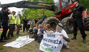 Harvestery wyjadą z puszczy. Oto zaskakujący powód wycofania niesławnych maszyn