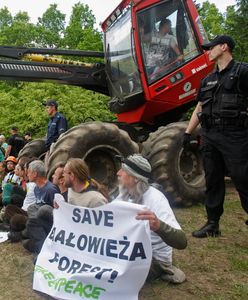 Harvestery wyjadą z puszczy. Oto zaskakujący powód wycofania niesławnych maszyn