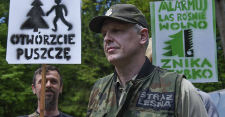 Cały czas padają drzewa w Puszczy Białowieskiej. Wszyscy mają złamane serca, ale nie mogą nic z tym zrobić
