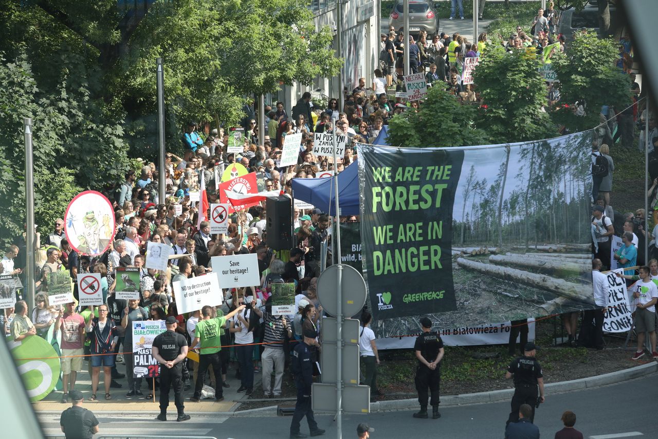 Obrońcy Puszczy i zwolennicy Szyszki stanęli naprzeciw siebie. Protesty w Krakowie