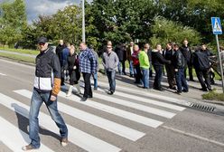 Sejm zdecydował. Pieszy nie będzie miał pierwszeństwa przed pasami