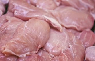 Salmonella w mięsie drobiowym z Polski. Czesi wykryli groźną bakterię