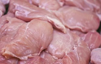 Salmonella w mięsie drobiowym z Polski. Czesi wykryli groźną bakterię