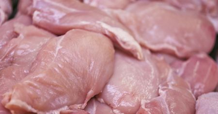 Salmonella w mięsie drobiowym z Polski. Czesi wykryli groźną bakterię