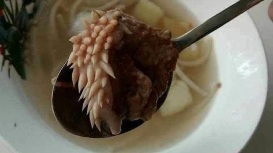 Mięso z mackami znalezione na stołówce szkolnej w Rosji