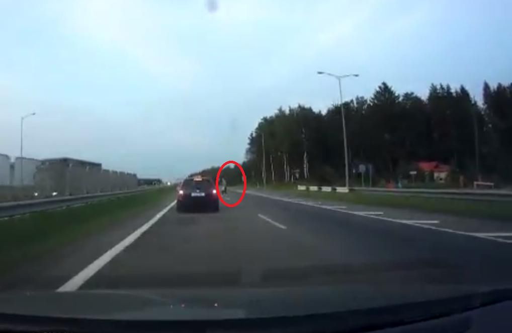 Zatrzymała ruch na autostradzie. Postanowiła pospacerować