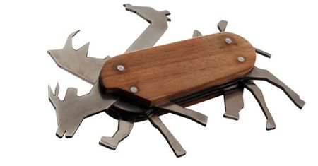 Safari w scyzoryku