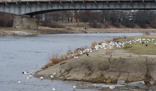 Poznań. Brutalne morderstwo 75-letniej kobiety
