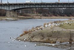 Poznań. Brutalne morderstwo 75-letniej kobiety
