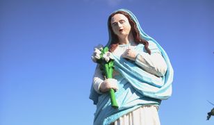 Włocławek. Zniszczyli figurki Matki Boskiej. Trwają poszukiwania