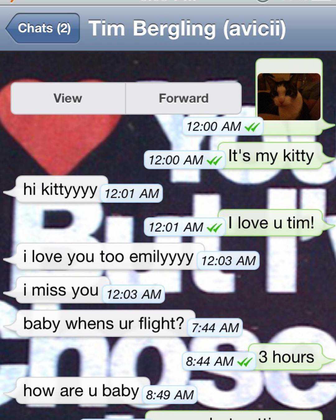 Emily Goldberg opublikowała ostatnie SMS-y do Dj-a Avicii