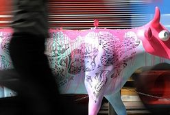 Malowane krowy w Tokio