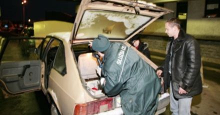 425 celników podejrzanych o korupcję