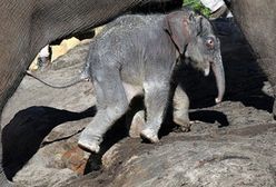 Maluch zadziwił świat