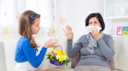 9 najlepszych psów dla alergików