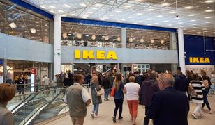 Wegetariańskie hot dogi i brak plastikowych opakowań. IKEA ogłasza nową, proekologiczną strategię