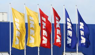 Wadliwy produkt od Ikei. Sieć za darmo go naprawi