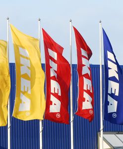 Najdroższy obraz świata do kupienia w Ikea? Zaskakująca promocja sieci