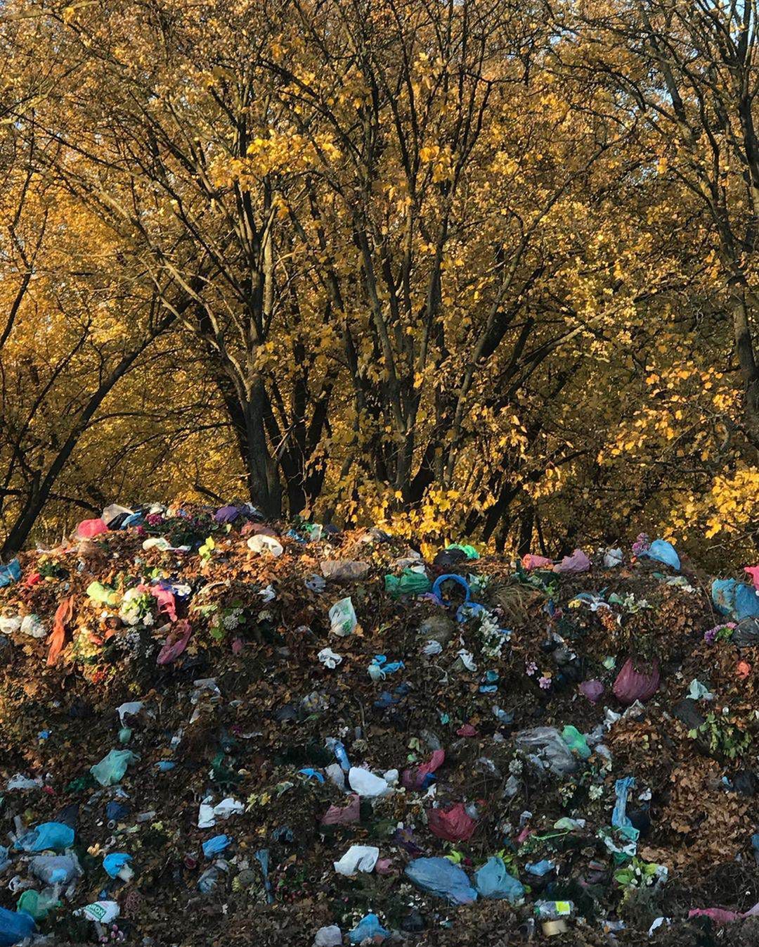 Kinga Rusin pokazała plastik na cmentarzach